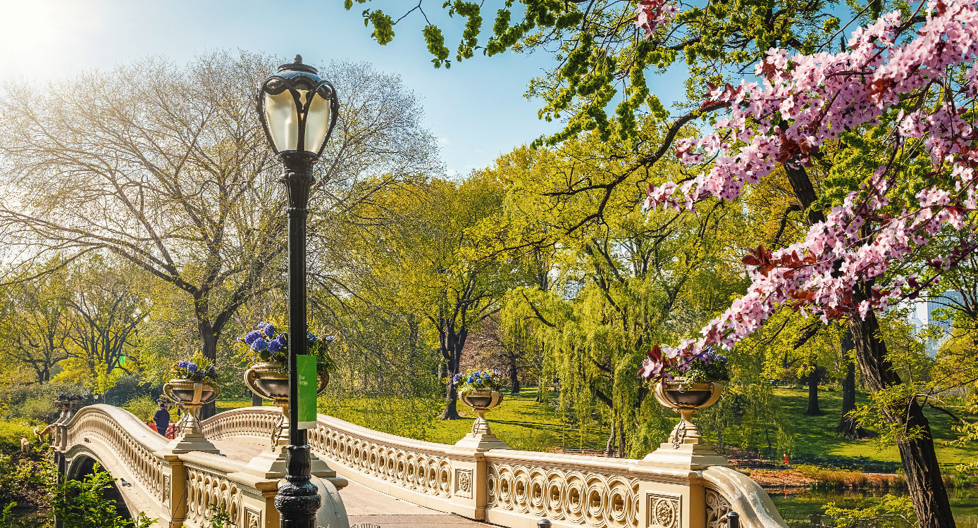 Fiançailles au Central Park à New York