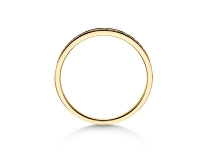 Anello di Fidanzamento Alliance-/Eternityring in oro giallo