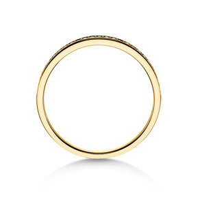 Anello di Fidanzamento Alliance-/Eternityring in oro giallo